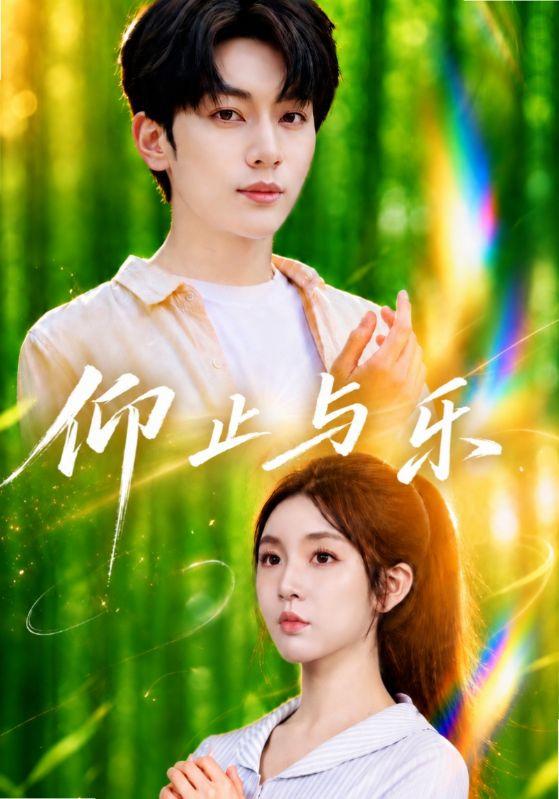 仰止与乐(全集)